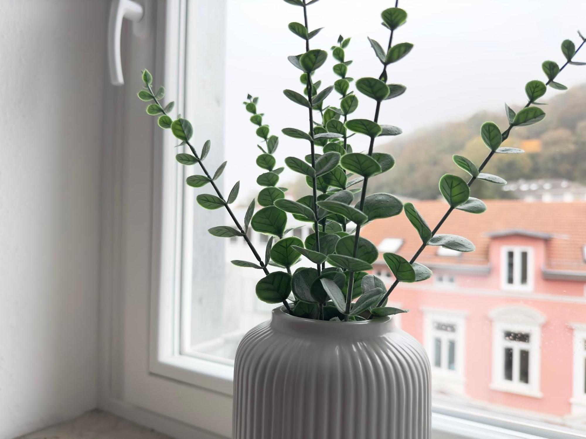 Apartment Sehr Großes Maisonette In Bestlage *